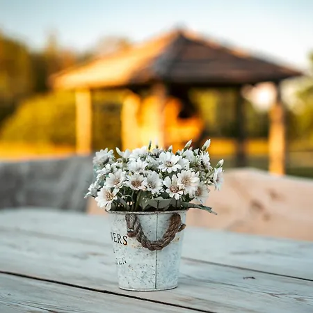 Kompleks wypoczynkowy Saarelux Riverise *