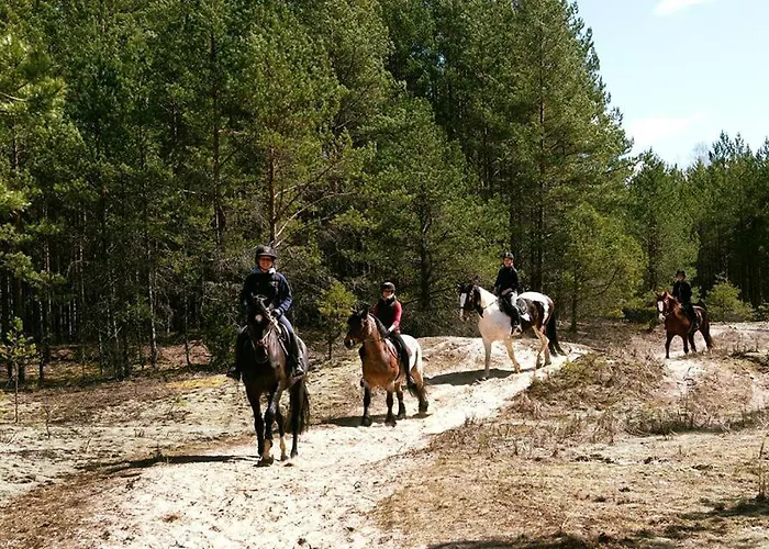 Saarelux Riverise Holiday park *